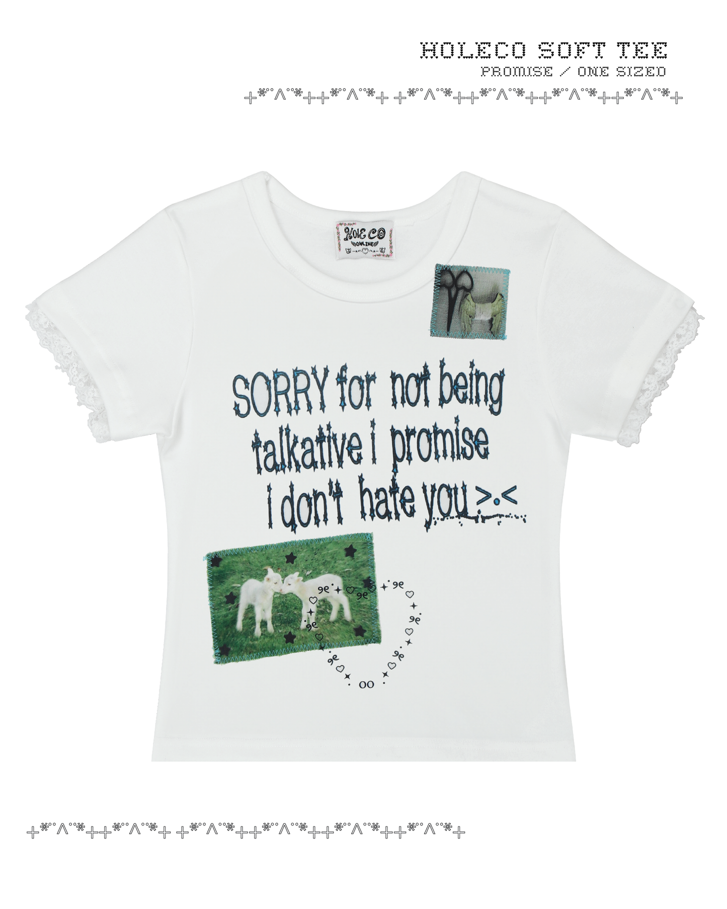 HOLECO Soft Tee 🍦🦴🐾